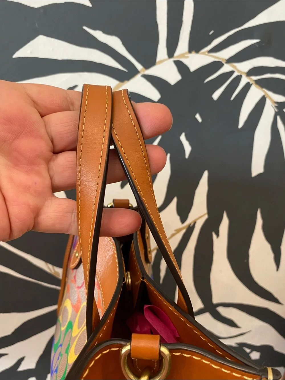 Coach Limited Edition Field Tote 22 from Pride 2022